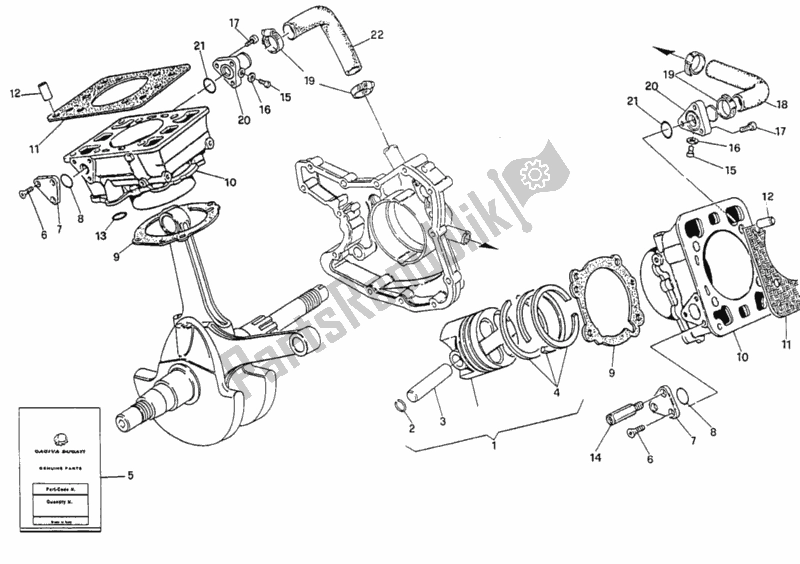 Alle onderdelen voor de Cilinder - Zuiger van de Ducati Superbike 888 US 1994